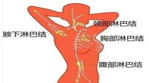 淋巴管道怎么疏通(淋巴管道怎么疏通图片)