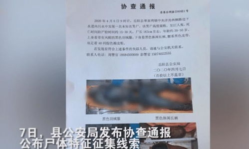 怎么证明管道已经疏通(怎么看是不是主管道堵了)