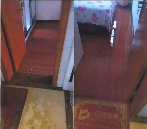 楼梯管道堵塞怎么疏通(楼梯间管道漏水责任怎么划分)