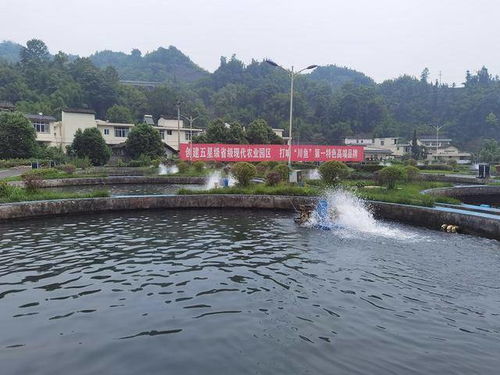 管道疏通文案怎么编(管道疏通文案怎么编辑)