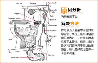 直通马桶怎么疏通管道(直通马桶结构图)