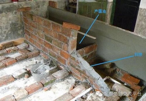 虾田管道怎么疏通(虾池排水口怎么设计)