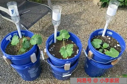庭院管道怎么疏通(庭院水管用什么管)