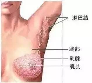 腋窝有硬块怎么疏通管道(腋窝有硬块怎么办)